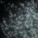Wayne McGregor | Random Dance Amu 3D Animation for Dance Performance
