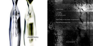 Clinical Fidelity