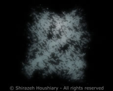 Shirazeh Houshiary Veil Arts Animation