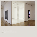 The works of shirazerh houshiary
