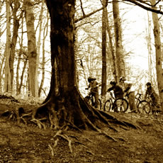Sponsoring Mountain Bike Team for Force Cancer Charity