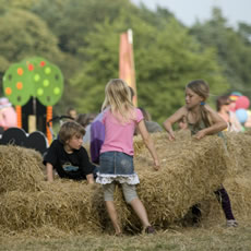 Latitude Festival Photos added to Mark Hatchard Website