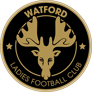 Watford Ladies FC 2013-14 Season Web Design