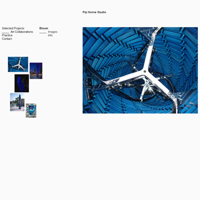 pip-horne-studio-website-screen-print_011_art-collaborations-bloom_v2011.0.1.jpg