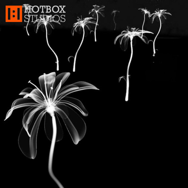 wayne-mcgregor-random-dance_alpha-3d-animation-for-dance-performance_0014_moving-above-field-of-x-ray-flowers_470SqPx72Dpi_v2012001.jpg