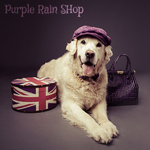 Purple Rain Shop logo