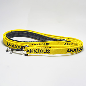 Bella's Collars anxious dog yellow harness