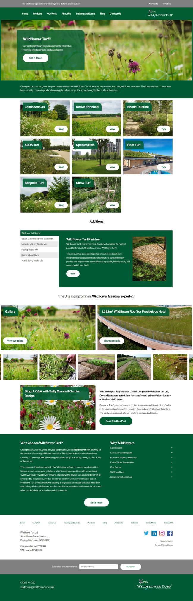 Wildflower Turf Wordpress Web Design SP003 Wildflower Turf