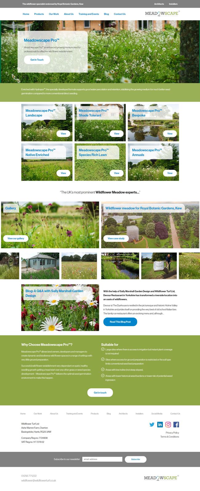 Wildflower Turf Wordpress Web Design SP004 Meadowscape