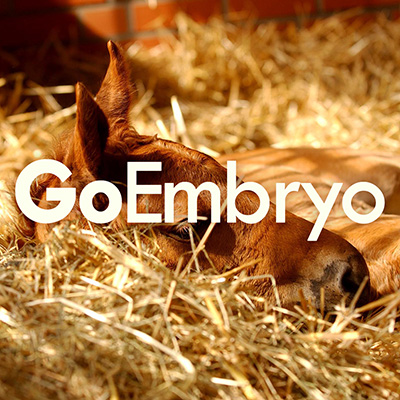 GoEmbryo