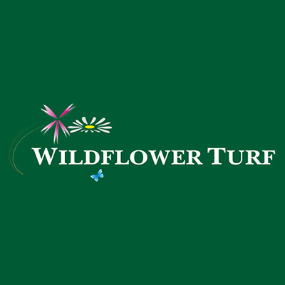 Wildflower Turf