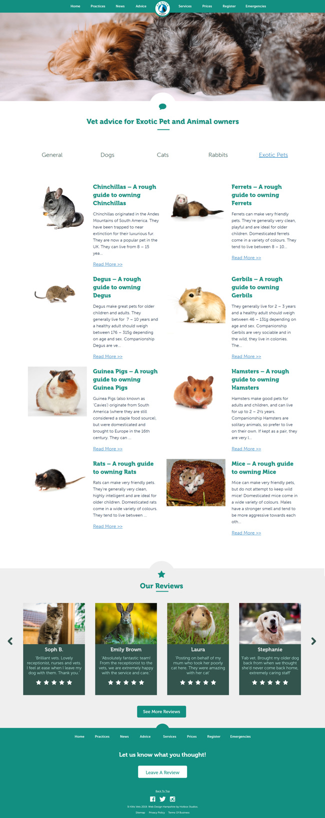 St Kitts Vet Website Design and WordPress Web Development SP010 Advice Exotic Pets